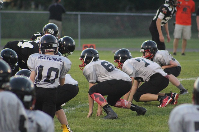 儘管數字上 儘管數字上