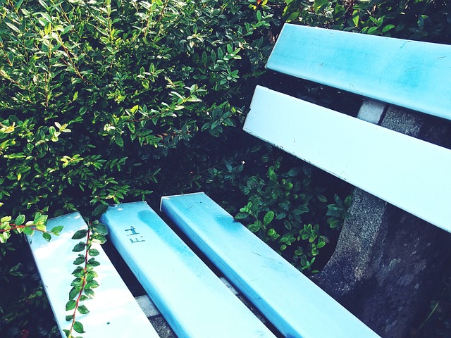 需要应对英 需要应对英