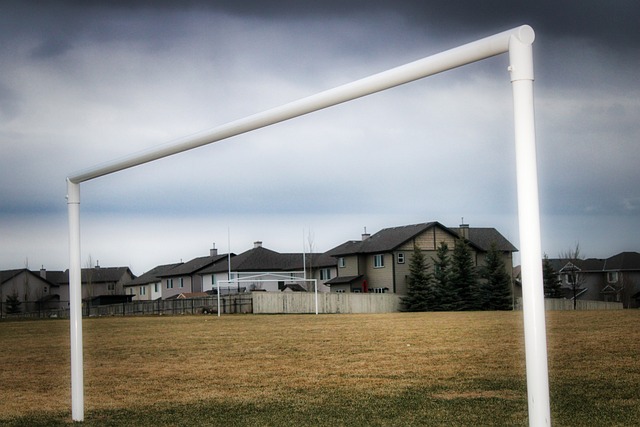 贝尔纳多 贝尔纳多